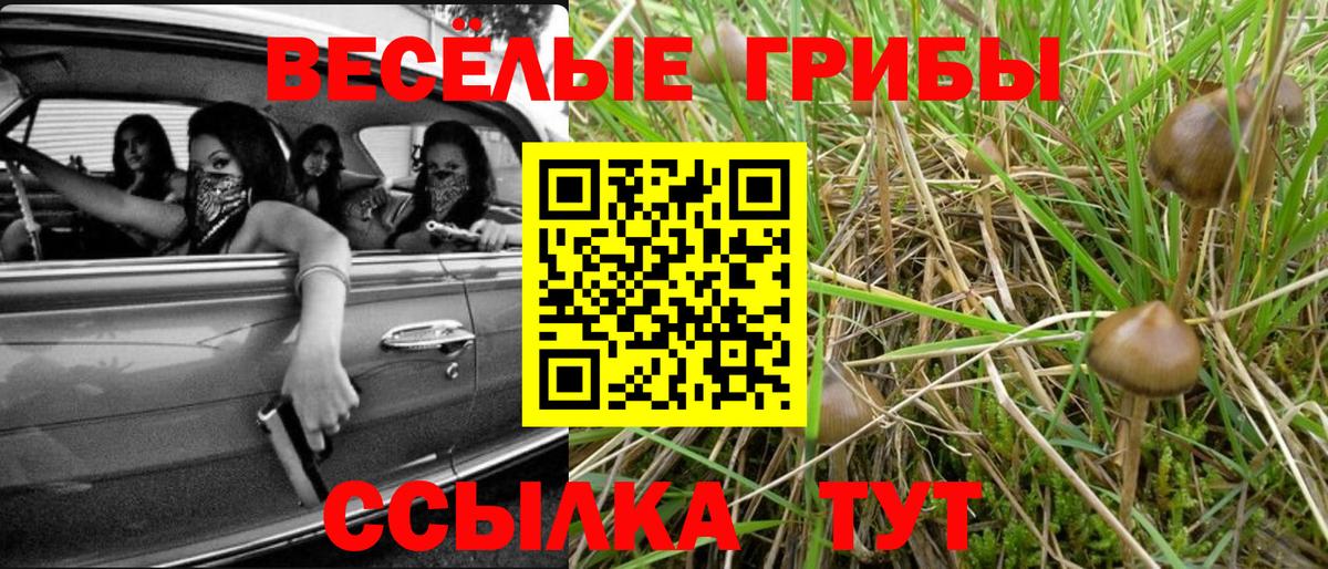 Псилоцибиновые грибы Cubensis  Вход с VPN  Куйбышев  где продают   Галлюциногенные грибы мицелий 
